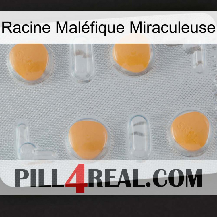 Racine Maléfique Miraculeuse 24